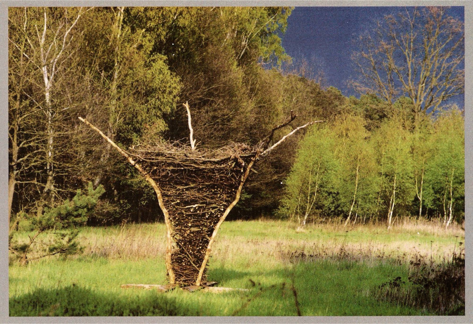 aP1390440zugeschnitten_ji_ji