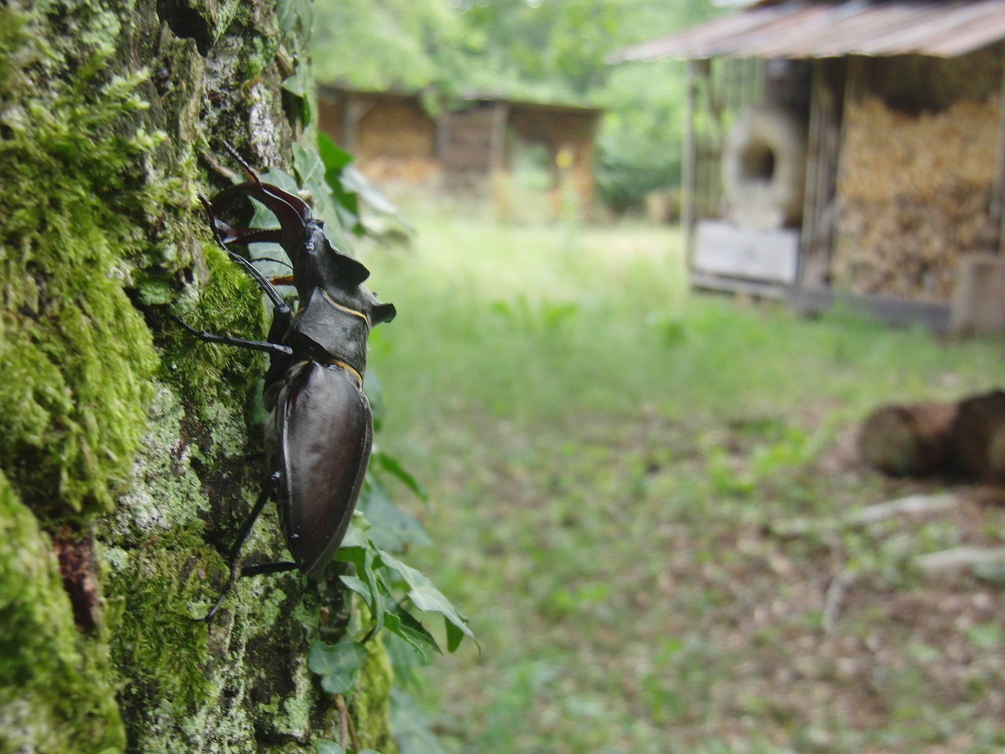 aP1390440zugeschnitten_ji_ji