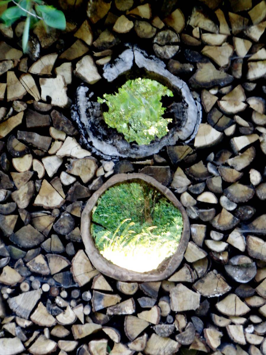 Kobernuß_HolzObjekte_Vase_Eibenholz