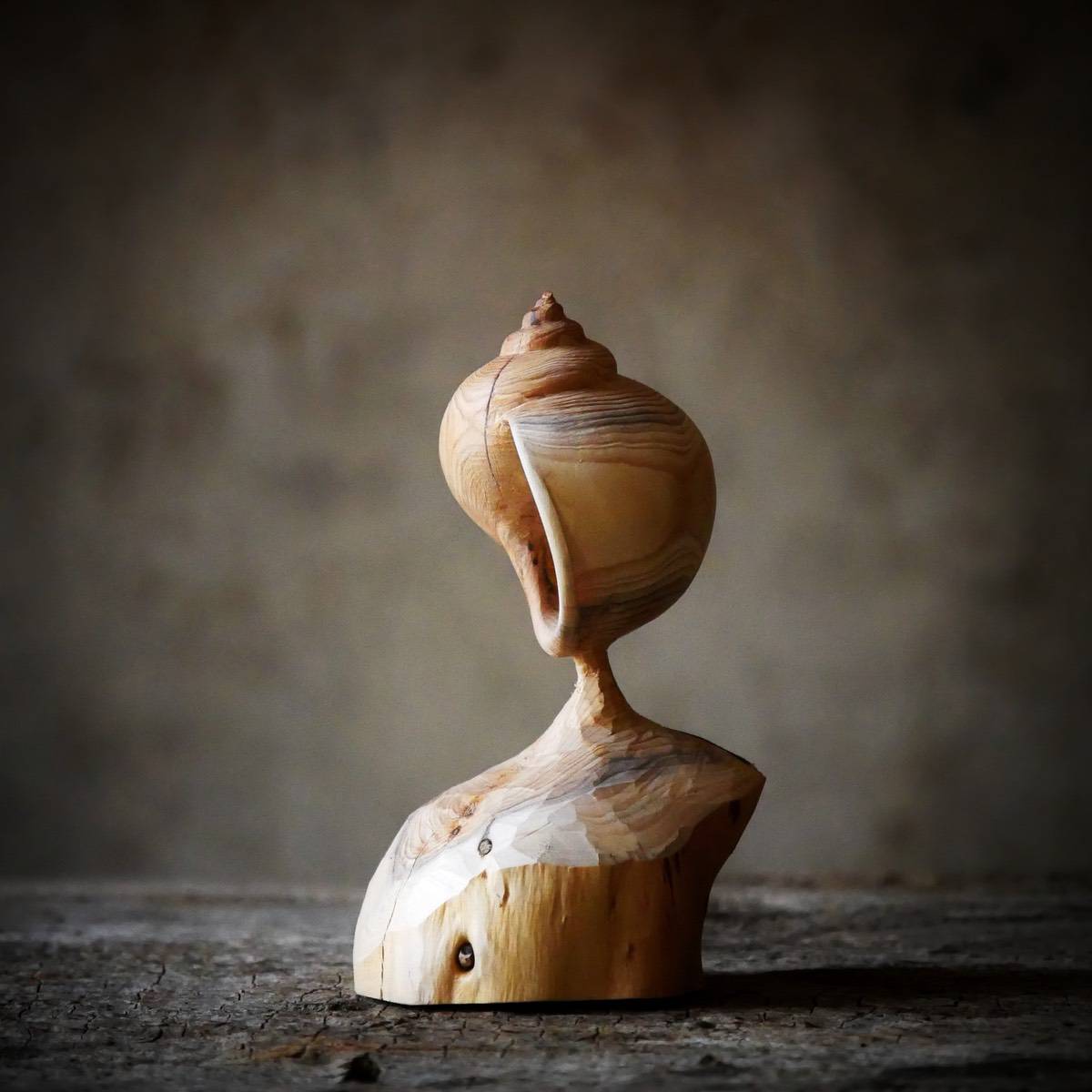 Kobernuß_HolzObjekte_Schnecke_Eibenholz