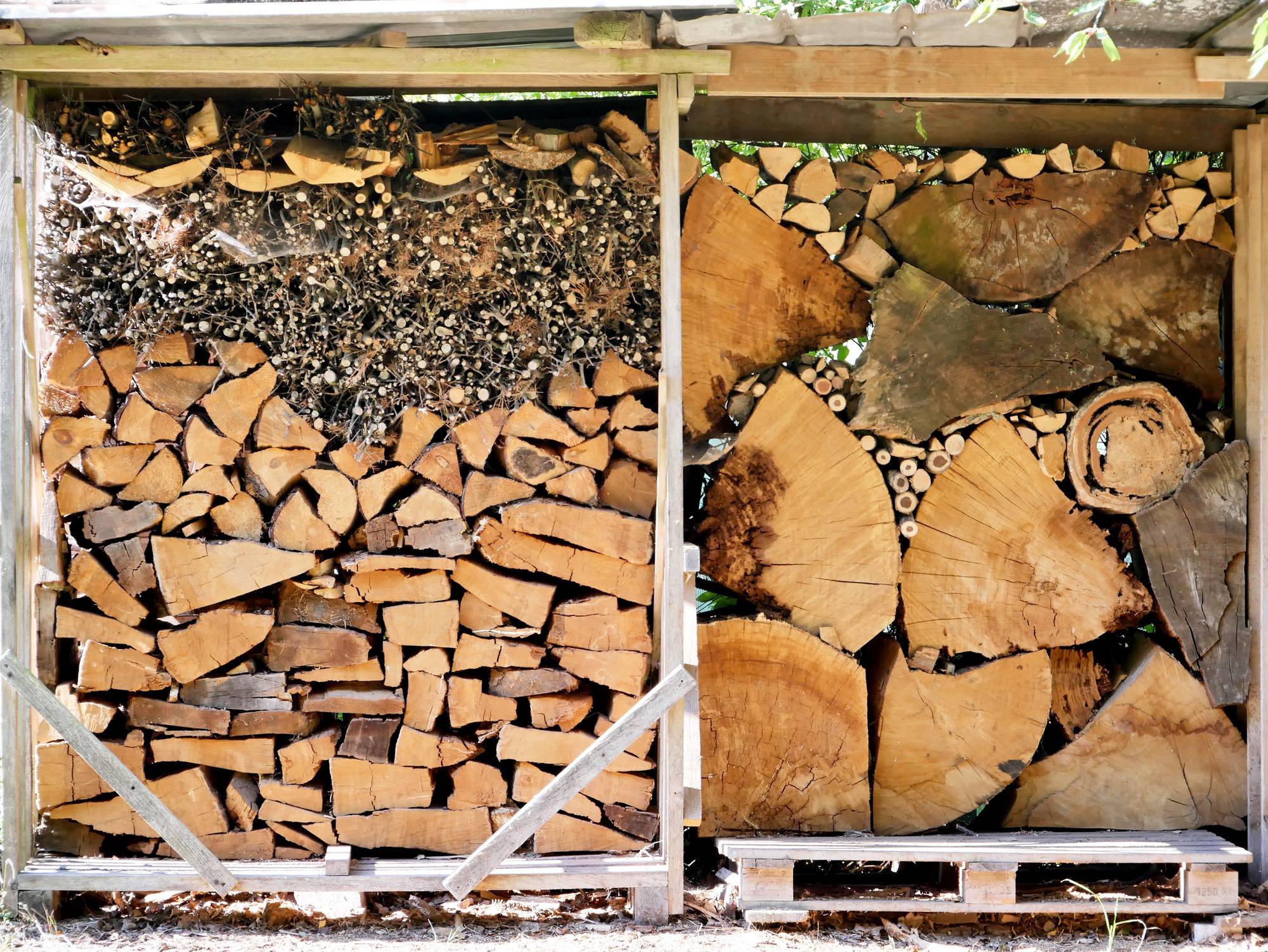 Kobernuß_HolzObjekte_Vase_Eichenholzverbessert_ji_ji