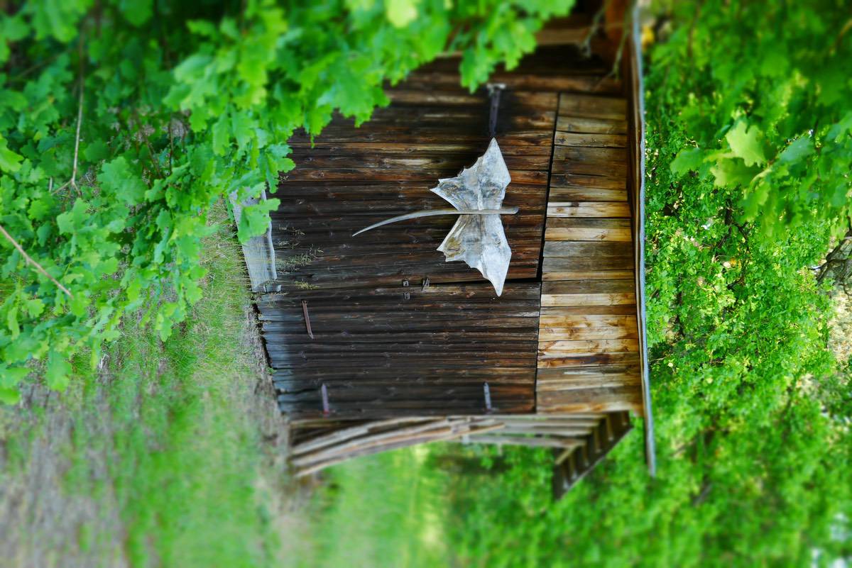 Kobernuß_Neetzendorf_Vasen