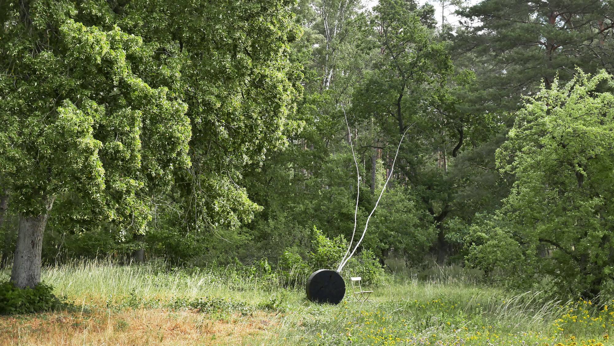 P1260721_jiverbessert%20und%20ausgerichtet